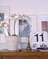 weiße Bilderrahmen,Orchidee i weißem Topf und ein Kalender aus Edelstahl