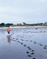 Frau geht im Wattenmeer vor Munkmarsch / Sylt spazieren