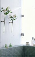 Blumen in Glasröhren mit Wandhalter, satinierte Glaswand im Bad