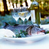 Close-up of fresh seabass on plate with lemon, herbs and spices