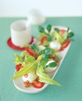 Grüner Salat mit Mozzarella + Erdbeeren, Pinienkernen Biobalance Diät
