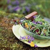 Sommerlicher Salat dekoriert mit Glockenblumen