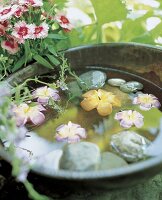 Schwimmkerzen in Blütenform in einer Wasserschale