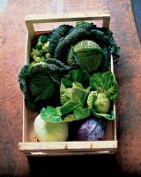 Brussels sprouts, cabbage and kale cabbage in wooden box