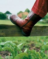 Roter Frauenstiefel mit dicker Sohle Camper