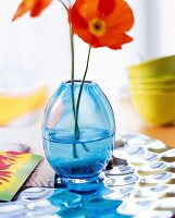 Close-up of flower in blue bulbous glass vase