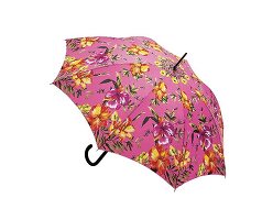 bunter Regenschirm mit Blumen-Motiv, Freisteller