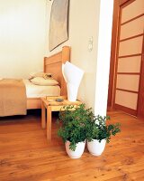 Bedroom decorated with indoor plants according to Feng Shui