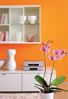 geradlinige, weiße Schrank- Elemente vor orangefarbener  Wand