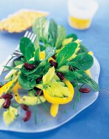 Bunter Salat aus Paprika, Sellerie, Feldsalat, Avocado u.Kidneybohnen