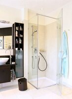 Bathroom with glass shower enclosure and sauna hose cabinet