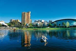 View of Torrens River and city in Adelaide, South Australia
