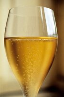 Champagner im Glas, close up 