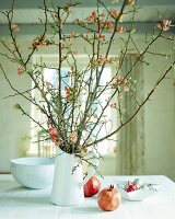 Quince branches with flowers in white ceramic jug