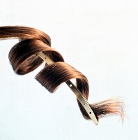 Close-up of long brown hair curled up on hair clip