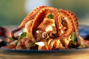 Close-up of Insalata di Mare at La Gritta restaurant in Paula, Sardinia