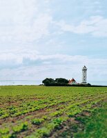 View of field and field tower in Funen, Denmark