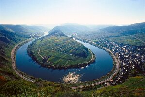 Weinanbaugebiet: Mosel-Saar-Ruwer Steillage Calmont, Mosel