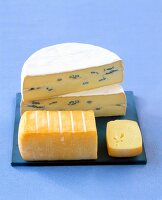 Limburger cheese and blue cheese on blue background