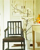 Magnolia branches next to an old chair