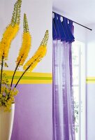 Violetter durchsichtiger Vorhang am Fenster, gelbe Blumen, Stück Wand