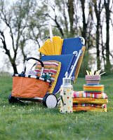Cushion, basket, thermos, bowls, plates and trolley on meadow at picnic