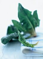 Close-up of spinach on a towel