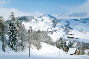 Schneebedeckter Abhang mit verstreut liegenden kleinen Häusern