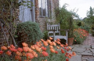 Eingangstür eines englischen Hauses, davor Holzstuhl, orange Blumen
