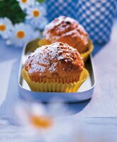 Zwei Apfel-Muffins in  silberner Schale mit blauem Hintergrund
