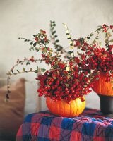 Hagebutten- und Cotoneasterzweige in einem ausgehöhlten Kürbis