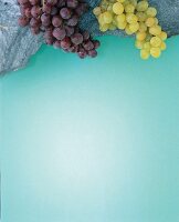 Green and purple grapes on blue background