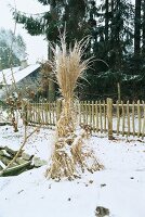 Hohe Gräser als Schutz 