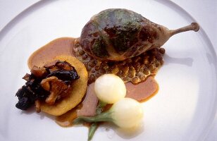 Stuffed bresse pigeon with lentils served on plate