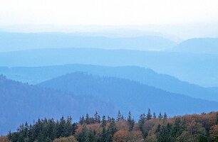 Panoramic view of mist in the Vosges Mountains, France