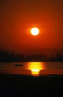 View of beautiful sunset at Lake Neusiedl