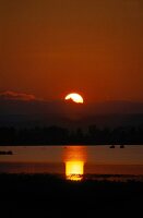 View of sunset at Lake Neusiedl in Austria, Silhouette