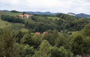 View of hills with lush in Styria, Austria