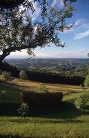 Hügellandschaft in der Steiermark X 
