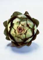 Close-up of artichoke on white background