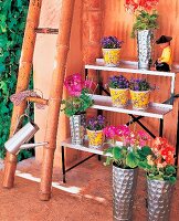Iron flower stairs decorated with flower pots