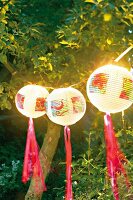 Lampions, Lampenschirme auf Gartenfest, abends, beleuchtet
