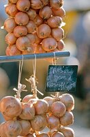 Bund  Zwiebeln und Knoblauch  auf dem Markt von Morlaix