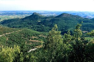 Weinlandschaft im Languedoc; Blick ins Tal über den Rocher des Verges