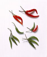 Red and green chilli peppers on white background