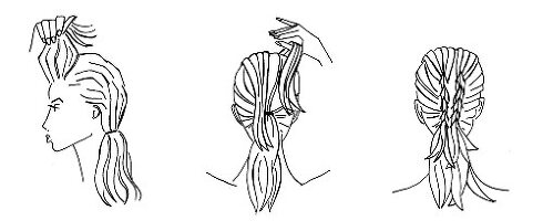Illustration of woman's pony tail divided into steps