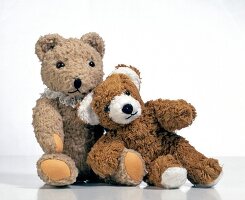 Two teddy bear on white background