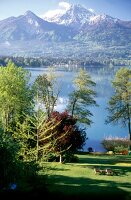 View of tree, grass, river and mountains in Worthersee, Austria