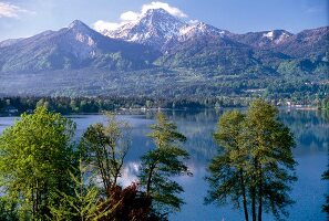 View of tree, grass, river and mountains in Worthersee, Austria