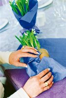 MS  Blumentopf mit Veilchen wird in blaues Seidenpapier gewickelt